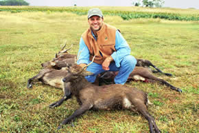 sika deer hunting property